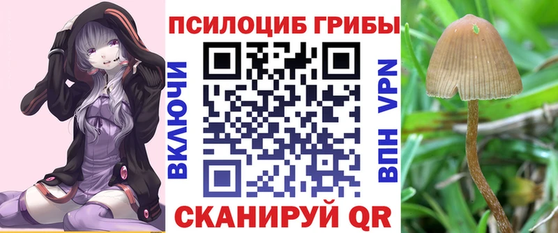 Псилоцибиновые грибы прущие грибы магазин продажи наркотиков Окуловка
